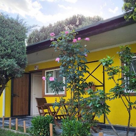 Hotel Cicek Evler Tatil Koeyue Armutlu Esterno foto